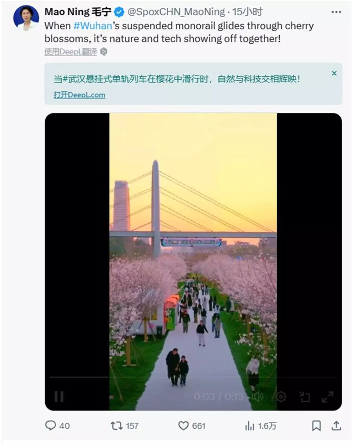毛宁截图.png
